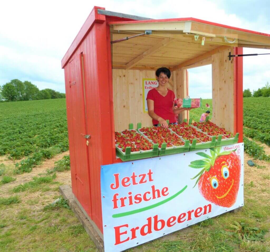 Erdbeerhuette-mit-Feld-erdbeer-lang