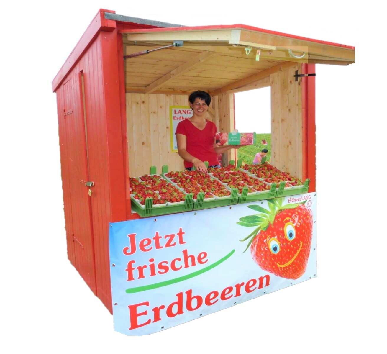 Foto von einem typischen Erdbeer-Verkaufsstand von Erdbeer-LANG