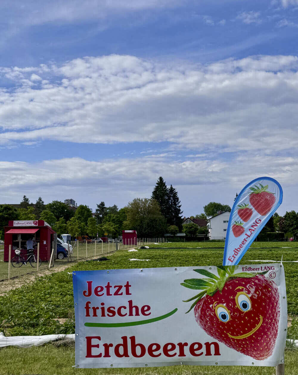 Ansicht vom Erdbeerfeld Taufkirchen bei München