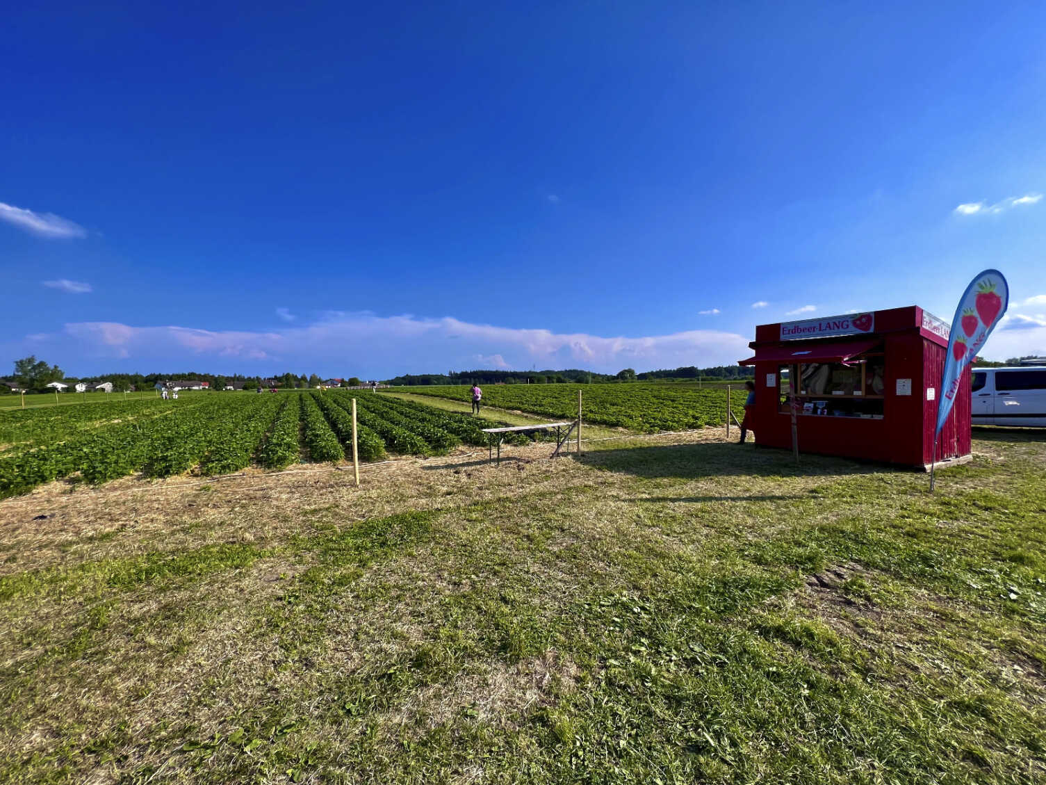 Erdbeerfeld Grafing von Erdbeer-LANG, Aussenansicht mit Parkplatz